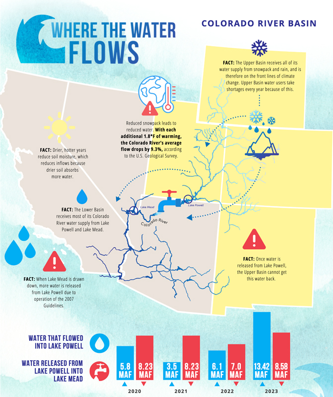 infographic thumbnail