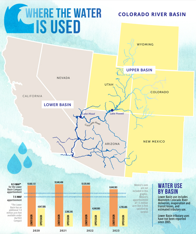 infographic thumbnail
